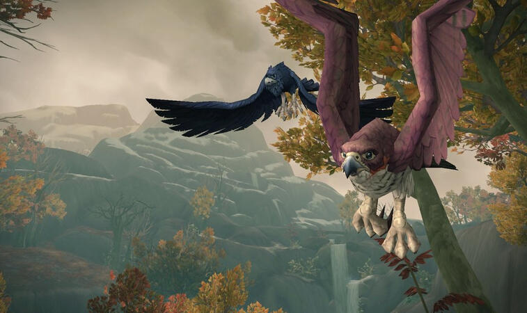 Young witch's flight lesson